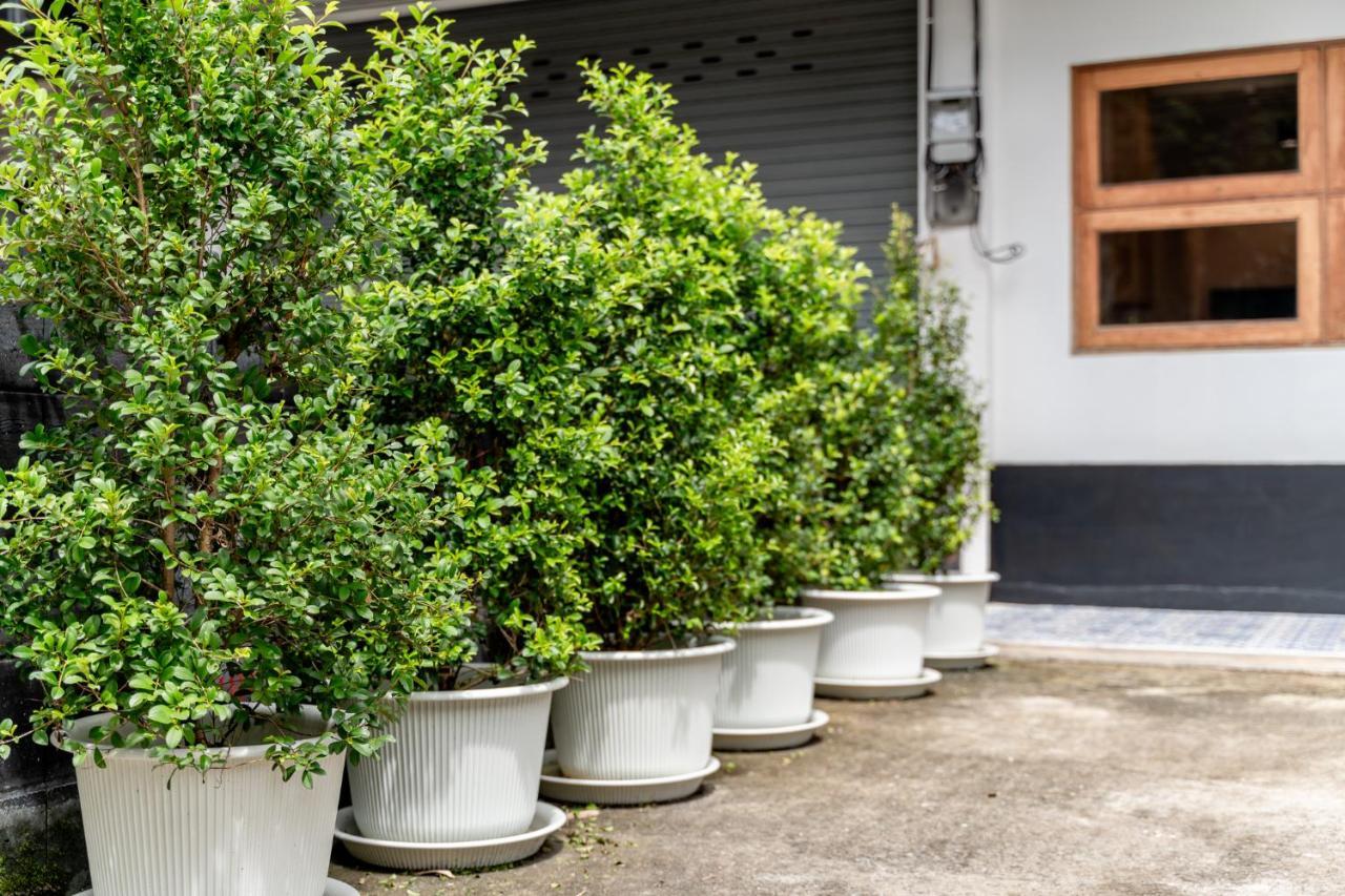 Socialer Coliving & Coworking Space Chiang Mai Bagian luar foto